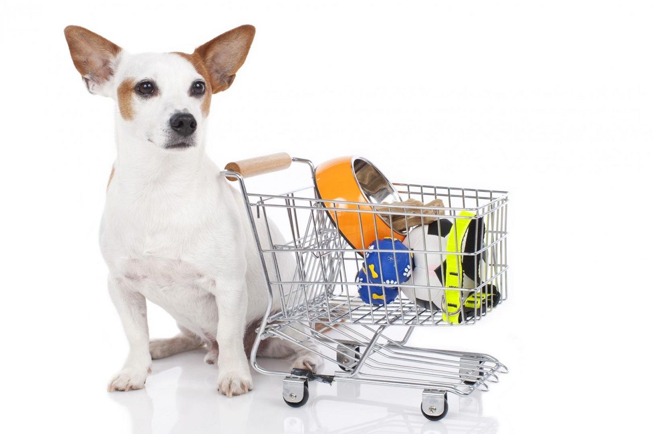 Personalized Pet Nutrition Plans at Golxlin Pet Shop